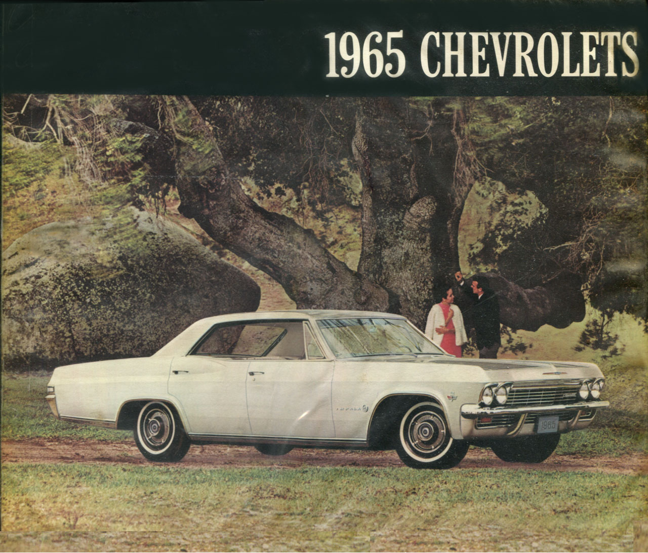 view cover of 