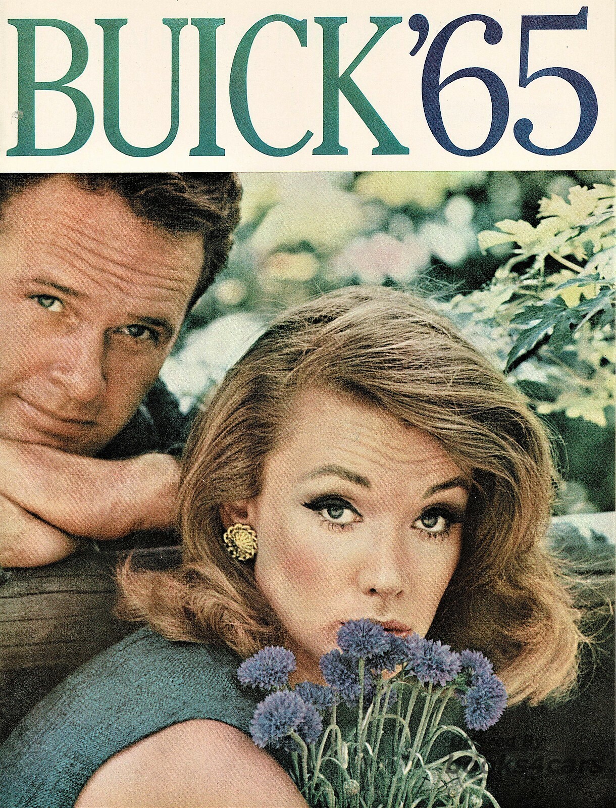 view cover of 