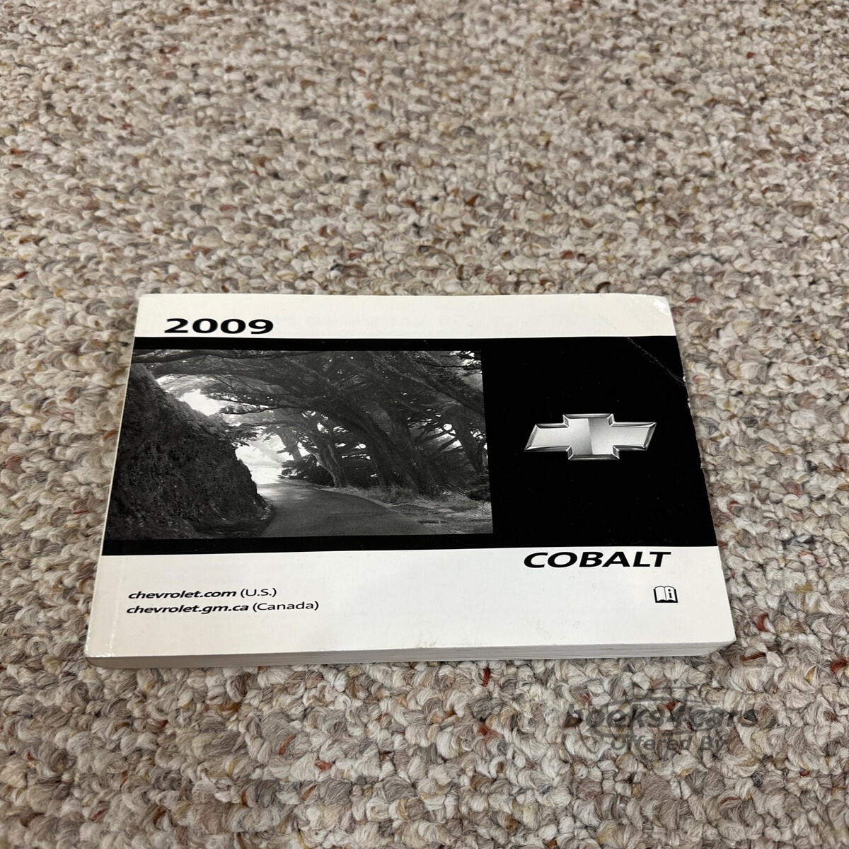 view cover of 