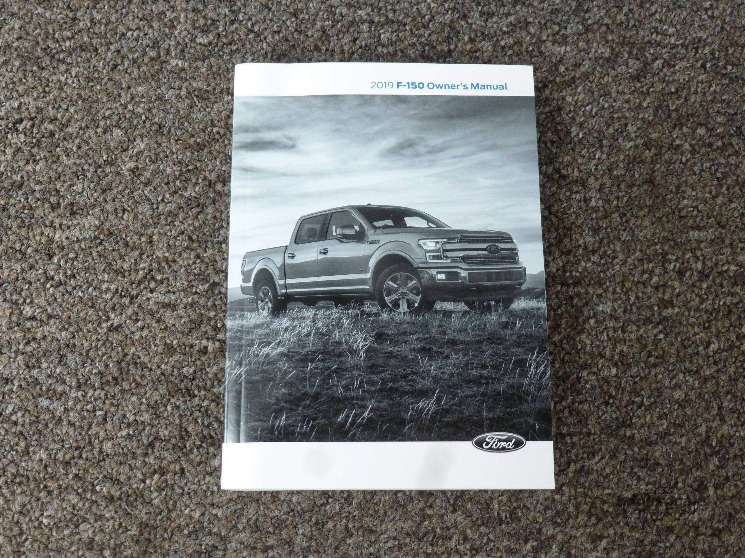 view cover of 2019 F150 owners Manual F-150 truck by Ford